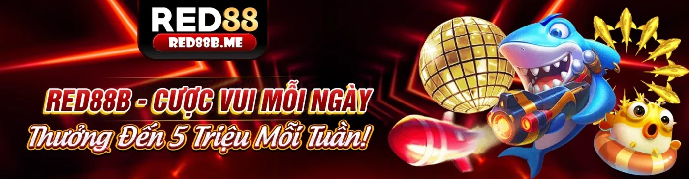 Sân đấu gà trực tiếp C88 với khán giả cuồng nhiệt